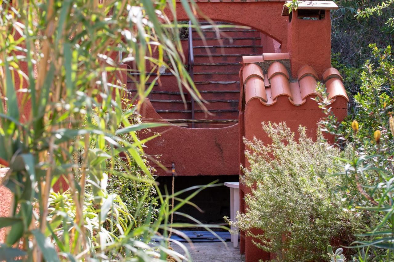 Villa Bougainvilliers Banyuls-sur-Mer Kültér fotó